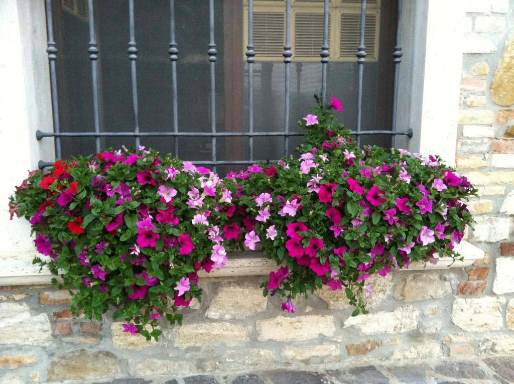 Agriturismo La Cantina อัสโกลีปิเชโน ภายนอก รูปภาพ