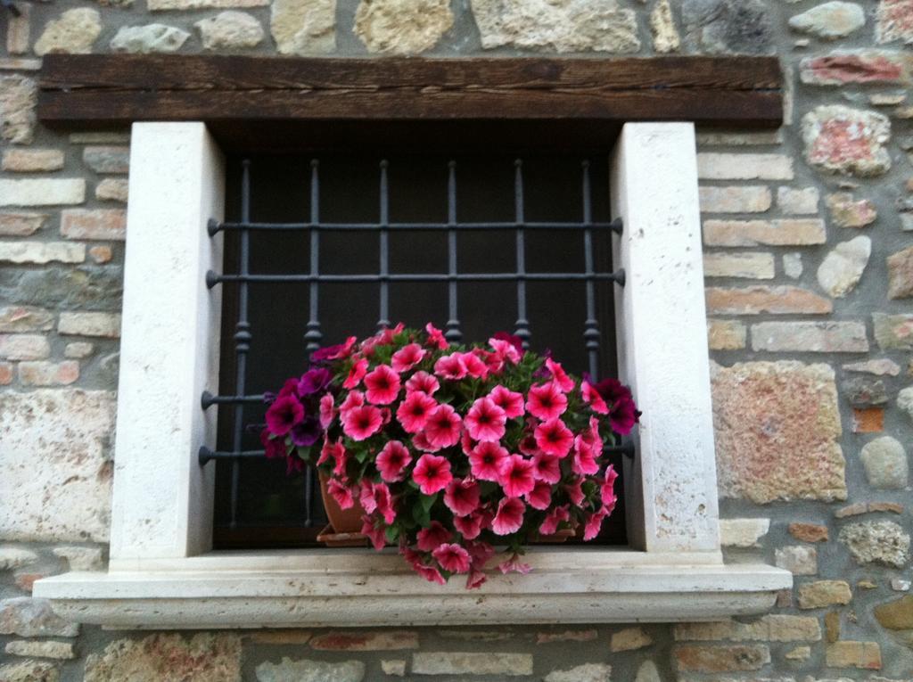 Agriturismo La Cantina อัสโกลีปิเชโน ภายนอก รูปภาพ