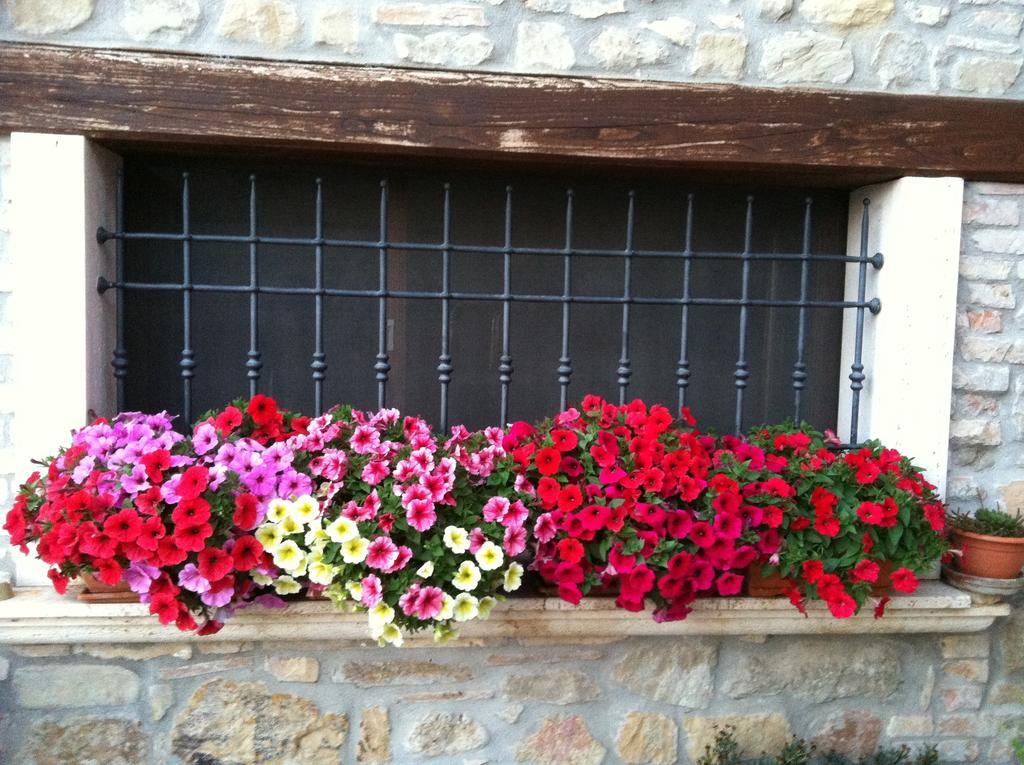 Agriturismo La Cantina อัสโกลีปิเชโน ภายนอก รูปภาพ